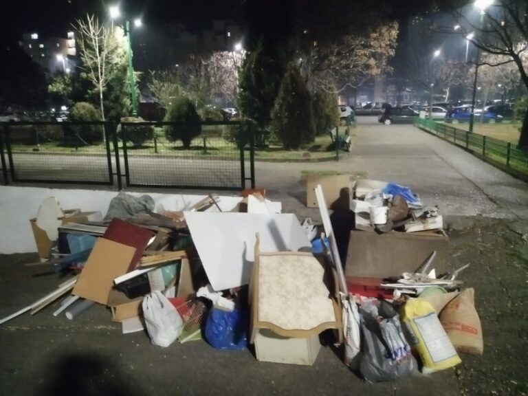 Akcija ćiščenja